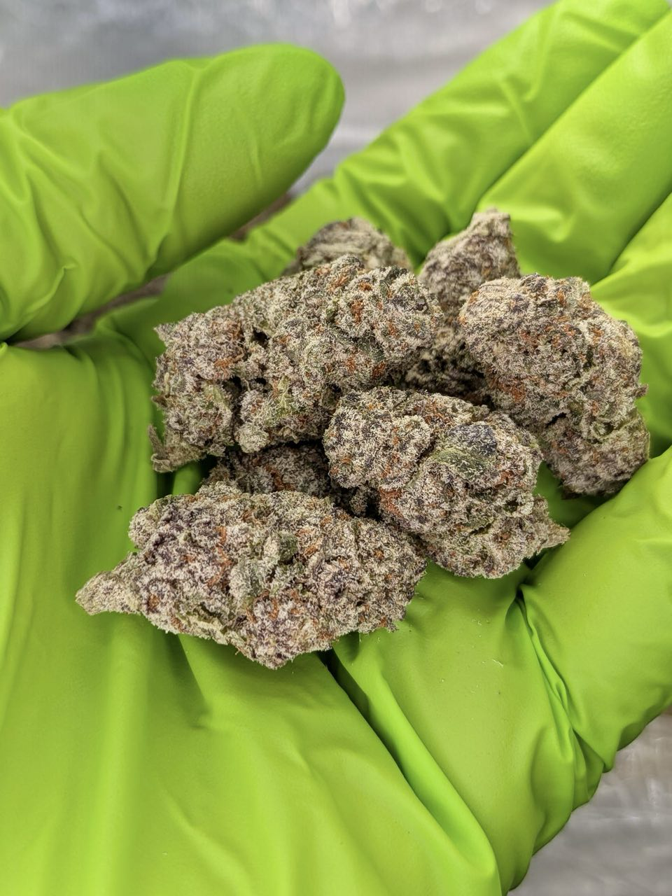 Lemon Heads strain